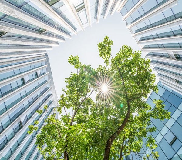 The Remarkable Rise Of ESG