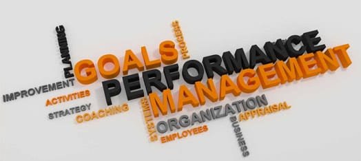 Performance Management Consulting